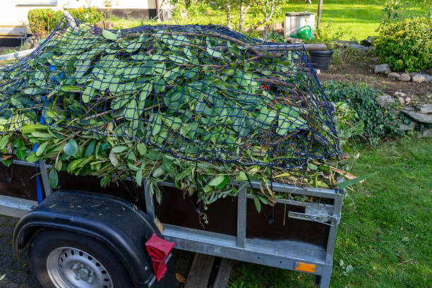 Best Carpet Removal and Disposal  in Richville, OH